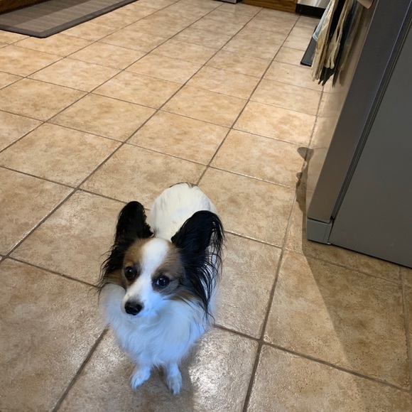 Meet your Posher, Eric - Picture 2 of 3